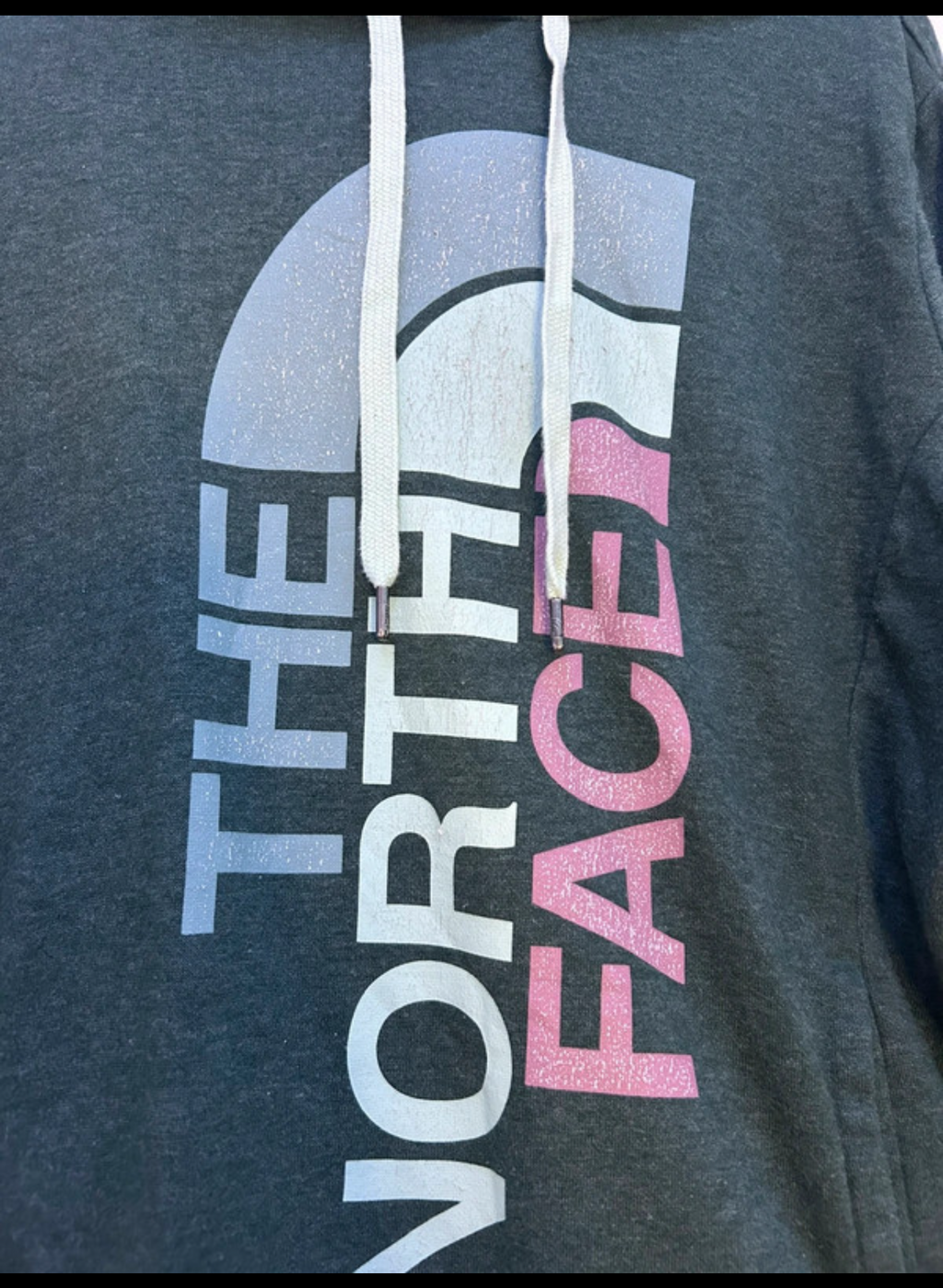 Hoodie the north face