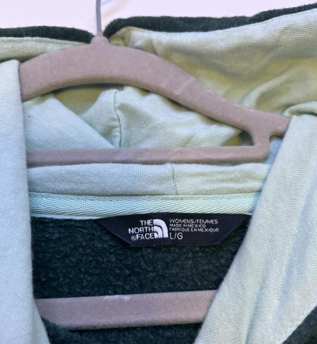 Hoodie the north face