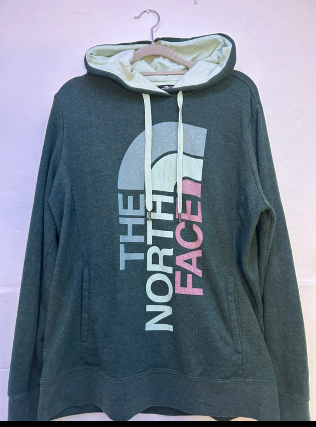 Hoodie the north face