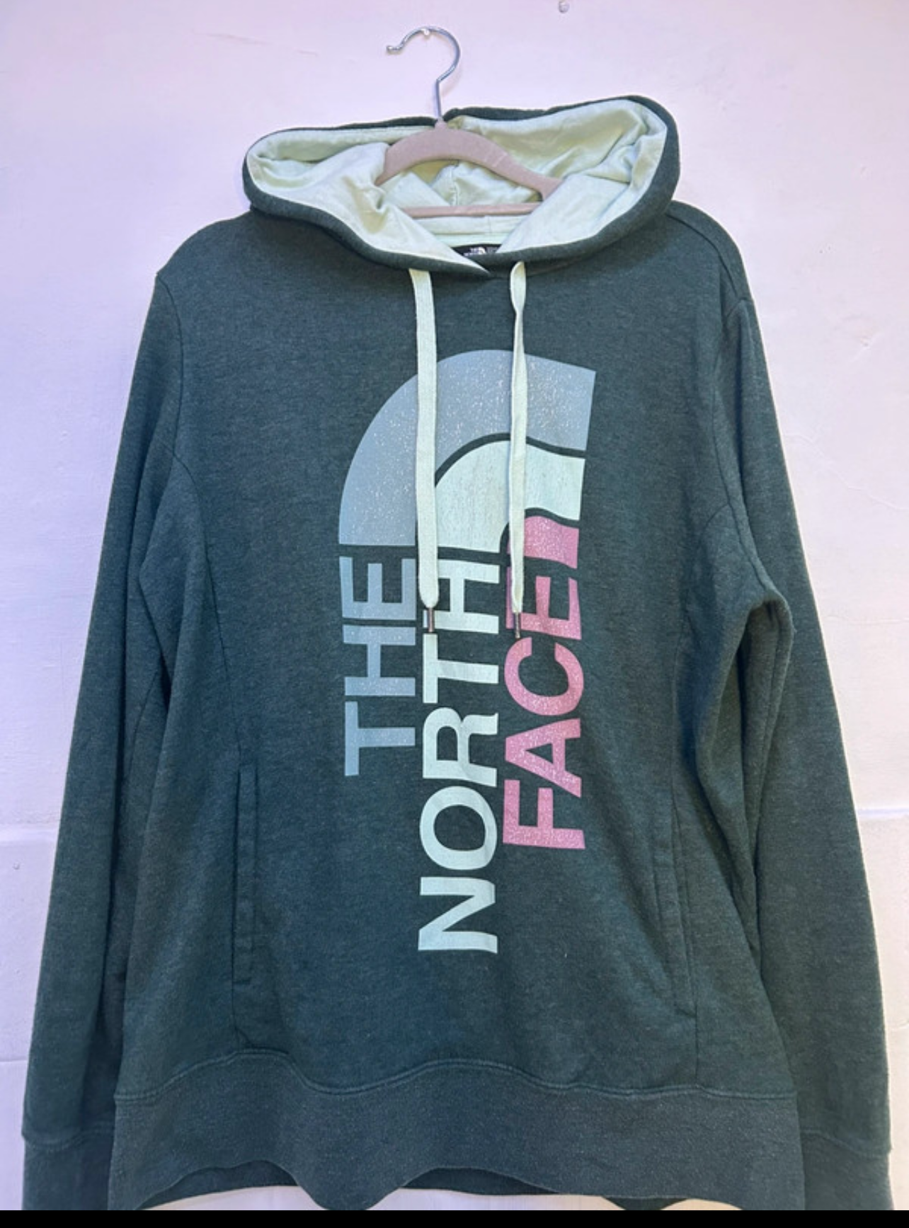 Hoodie the north face